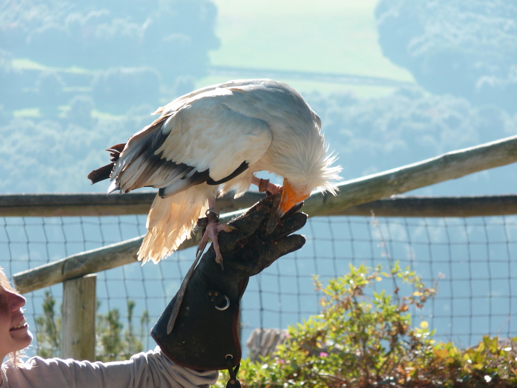 No s'ha trobat l'arxiu